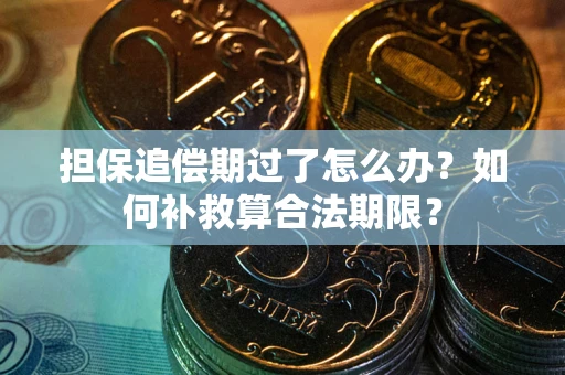 北京担保追偿期过了怎么办？如何补救算合法期限？