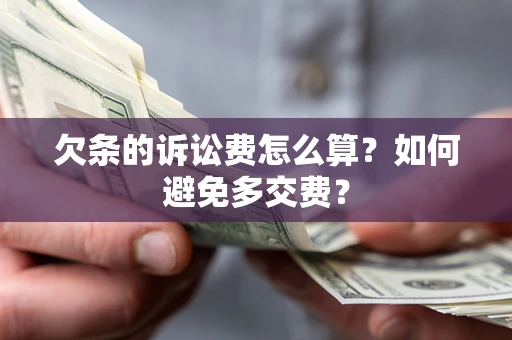 北京欠条的诉讼费怎么算？如何避免多交费？