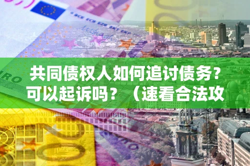 北京共同债权人如何追讨债务？可以起诉吗？（速看合法攻略）